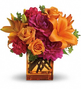 Teleflora/T158-1B.jpg