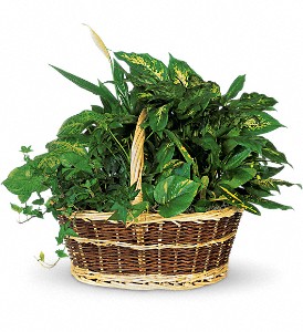 6912 Large Basket Garden product image