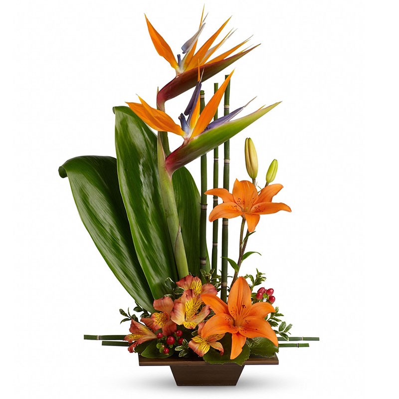 Teleflora/T77-1A.jpg