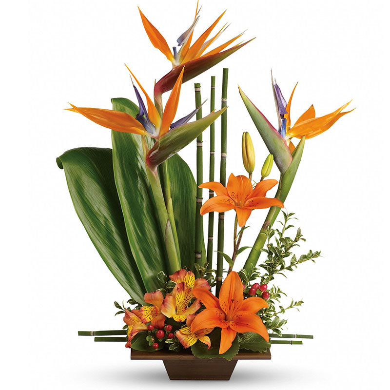 Teleflora/T77-1B.jpg