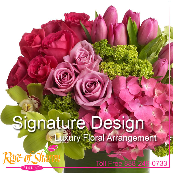 91038 Signature Luxury Design product image