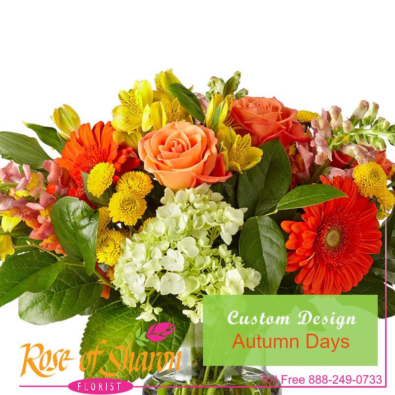 1057 Autumn Days Custom Design product image