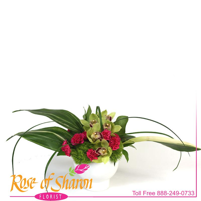 Best Santa Maria florist. Rose of Sharon Florist offers fresh flower delivery Santa Maria. Save money by sending flowers directly with a Local Florist. Call us at 888-249-0733 or local 805-925-3803 for local delivery of fresh flowers, plants and gifts to the entire Santa Maria Valley - Santa Maria Flower Shop with daily deliveries to the entire Santa Maria Valley. Santa Maria Flower Shop, flowers, plants & gifts to Santa Maria, Orcutt, Nipomo, Guadalupe, Casmalia, Arroyo Grande, Lompoc, Pismo Beach, Grover Beach, Avila Beach, and San Luis Obispo Image