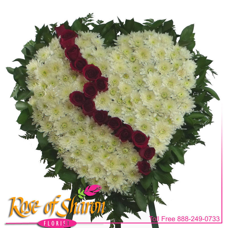 Our Heart is Broken main product image