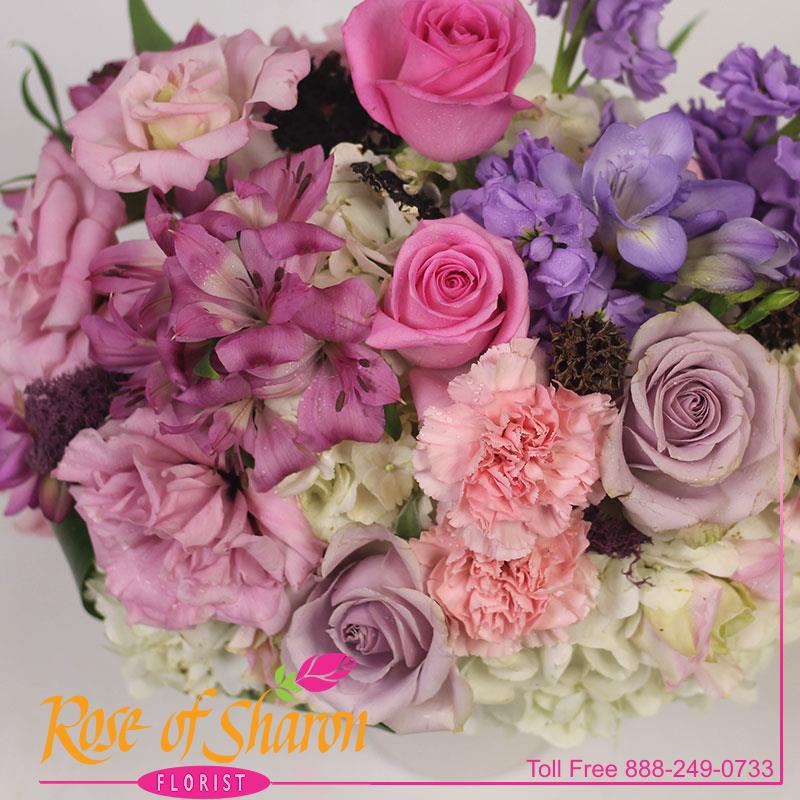 Best Santa Maria florist. Rose of Sharon Florist offers fresh flower delivery Santa Maria. Save money by sending flowers directly with a Local Florist. Call us at 888-249-0733 or local 805-925-3803 for local delivery of fresh flowers, plants and gifts to the entire Santa Maria Valley - Santa Maria Flower Shop with daily deliveries to the entire Santa Maria Valley. Santa Maria Flower Shop, flowers, plants & gifts to Santa Maria, Orcutt, Nipomo, Guadalupe, Casmalia, Arroyo Grande, Lompoc, Pismo Beach, Grover Beach, Avila Beach, and San Luis Obispo Image