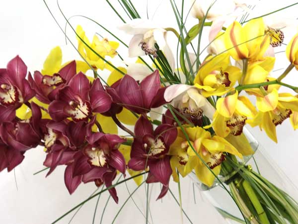 2167 Cymbidium Orchid Vase Image One