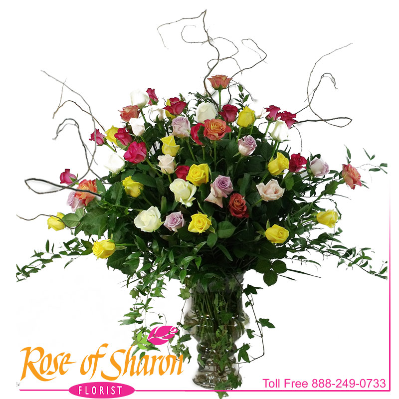 2233 Four Dozen Roses product image