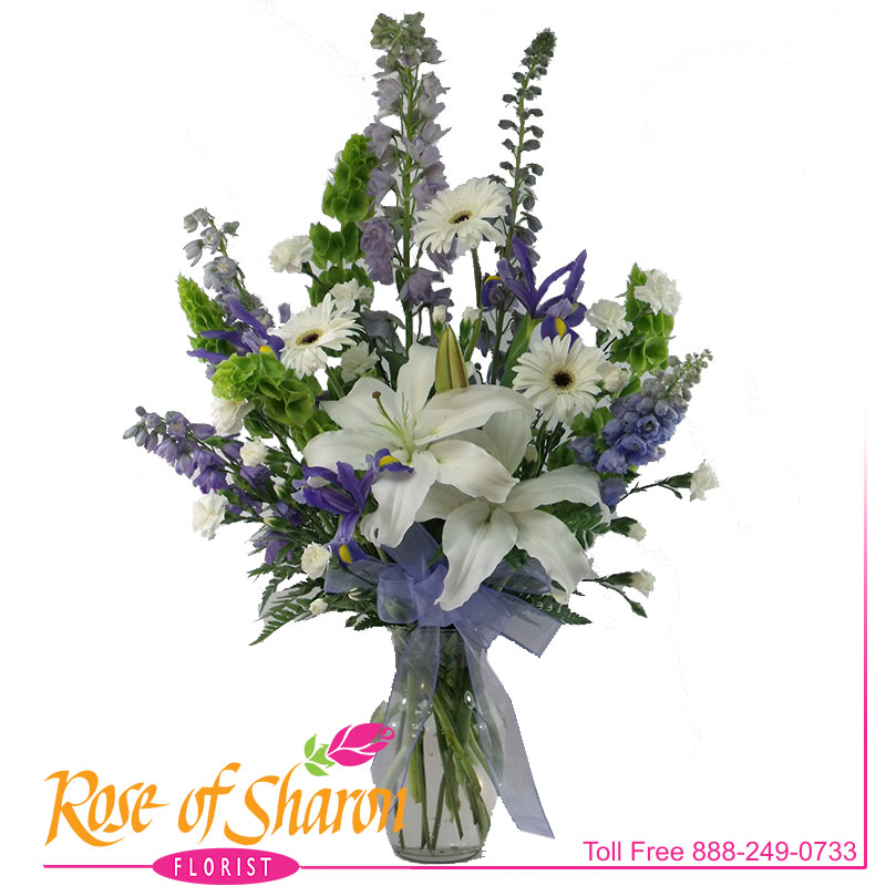 2244 Blue Velvet product image