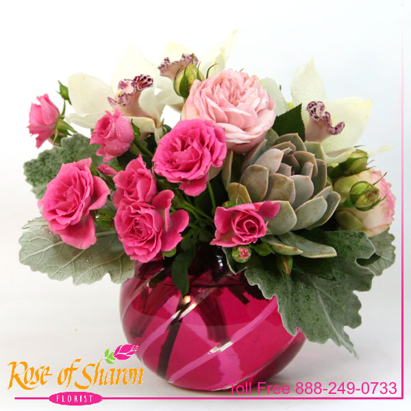 Best Santa Maria florist. Rose of Sharon Florist offers fresh flower delivery Santa Maria. Save money by sending flowers directly with a Local Florist. Call us at 888-249-0733 or local 805-925-3803 for local delivery of fresh flowers, plants and gifts to the entire Santa Maria Valley - Santa Maria Flower Shop with daily deliveries to the entire Santa Maria Valley. Santa Maria Flower Shop, flowers, plants & gifts to Santa Maria, Orcutt, Nipomo, Guadalupe, Casmalia, Arroyo Grande, Lompoc, Pismo Beach, Grover Beach, Avila Beach, and San Luis Obispo Image