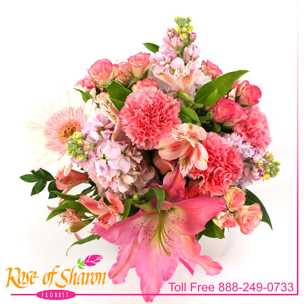 2370 Harmony Image One