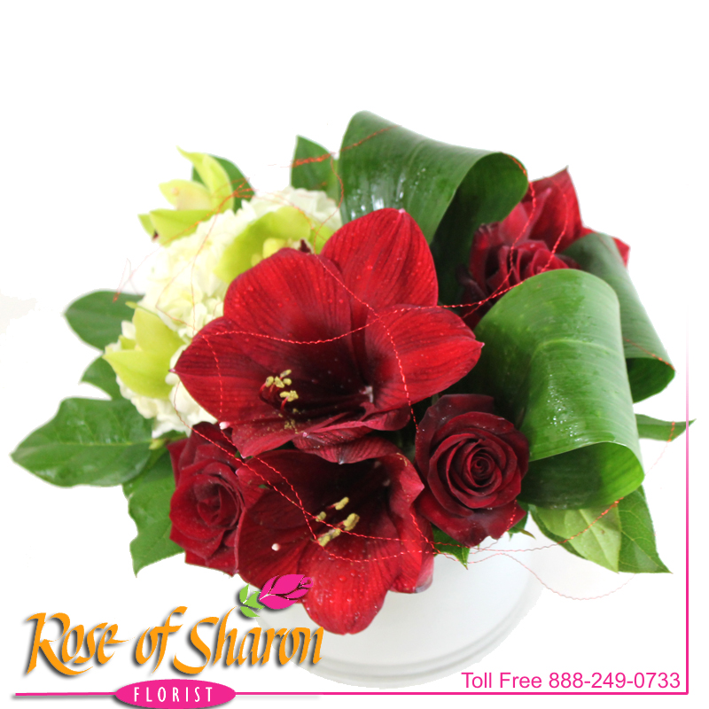 Best Santa Maria florist. Rose of Sharon Florist offers fresh flower delivery Santa Maria. Save money by sending flowers directly with a Local Florist. Call us at 888-249-0733 or local 805-925-3803 for local delivery of fresh flowers, plants and gifts to the entire Santa Maria Valley - Santa Maria Flower Shop with daily deliveries to the entire Santa Maria Valley. Santa Maria Flower Shop, flowers, plants & gifts to Santa Maria, Orcutt, Nipomo, Guadalupe, Casmalia, Arroyo Grande, Lompoc, Pismo Beach, Grover Beach, Avila Beach, and San Luis Obispo Image