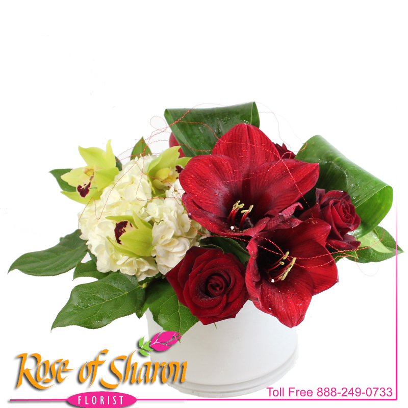 Best Santa Maria florist. Rose of Sharon Florist offers fresh flower delivery Santa Maria. Save money by sending flowers directly with a Local Florist. Call us at 888-249-0733 or local 805-925-3803 for local delivery of fresh flowers, plants and gifts to the entire Santa Maria Valley - Santa Maria Flower Shop with daily deliveries to the entire Santa Maria Valley. Santa Maria Flower Shop, flowers, plants & gifts to Santa Maria, Orcutt, Nipomo, Guadalupe, Casmalia, Arroyo Grande, Lompoc, Pismo Beach, Grover Beach, Avila Beach, and San Luis Obispo Image