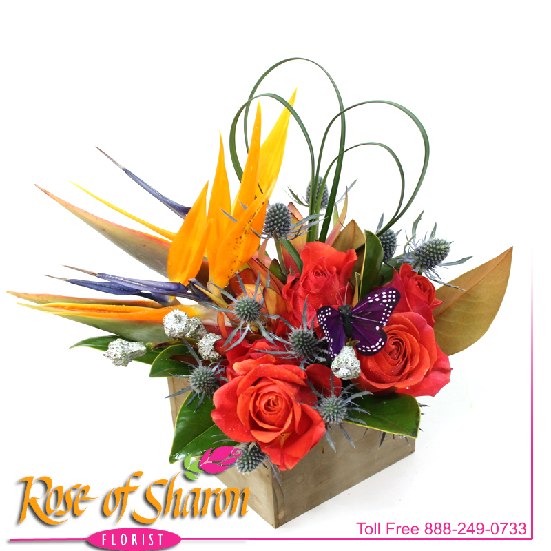 Best Santa Maria florist. Rose of Sharon Florist offers fresh flower delivery Santa Maria. Save money by sending flowers directly with a Local Florist. Call us at 888-249-0733 or local 805-925-3803 for local delivery of fresh flowers, plants and gifts to the entire Santa Maria Valley - Santa Maria Flower Shop with daily deliveries to the entire Santa Maria Valley. Santa Maria Flower Shop, flowers, plants & gifts to Santa Maria, Orcutt, Nipomo, Guadalupe, Casmalia, Arroyo Grande, Lompoc, Pismo Beach, Grover Beach, Avila Beach, and San Luis Obispo Image