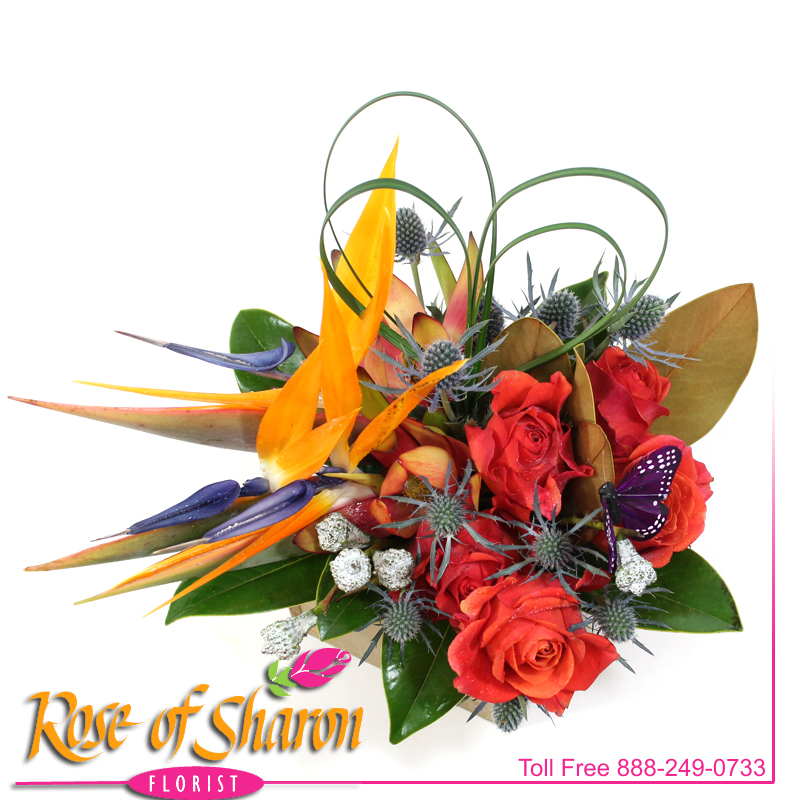 Best Santa Maria florist. Rose of Sharon Florist offers fresh flower delivery Santa Maria. Save money by sending flowers directly with a Local Florist. Call us at 888-249-0733 or local 805-925-3803 for local delivery of fresh flowers, plants and gifts to the entire Santa Maria Valley - Santa Maria Flower Shop with daily deliveries to the entire Santa Maria Valley. Santa Maria Flower Shop, flowers, plants & gifts to Santa Maria, Orcutt, Nipomo, Guadalupe, Casmalia, Arroyo Grande, Lompoc, Pismo Beach, Grover Beach, Avila Beach, and San Luis Obispo Image