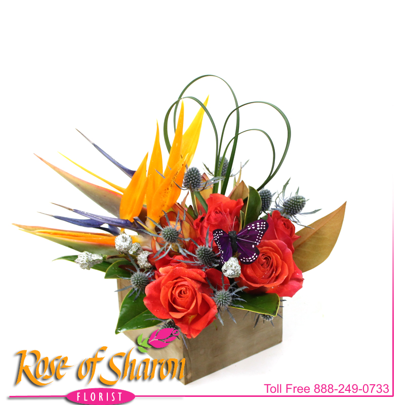 Best Santa Maria florist. Rose of Sharon Florist offers fresh flower delivery Santa Maria. Save money by sending flowers directly with a Local Florist. Call us at 888-249-0733 or local 805-925-3803 for local delivery of fresh flowers, plants and gifts to the entire Santa Maria Valley - Santa Maria Flower Shop with daily deliveries to the entire Santa Maria Valley. Santa Maria Flower Shop, flowers, plants & gifts to Santa Maria, Orcutt, Nipomo, Guadalupe, Casmalia, Arroyo Grande, Lompoc, Pismo Beach, Grover Beach, Avila Beach, and San Luis Obispo Image