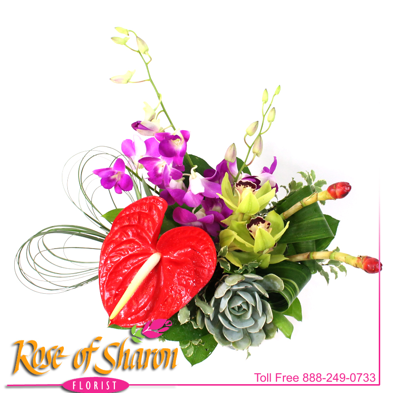 Best Santa Maria florist. Rose of Sharon Florist offers fresh flower delivery Santa Maria. Save money by sending flowers directly with a Local Florist. Call us at 888-249-0733 or local 805-925-3803 for local delivery of fresh flowers, plants and gifts to the entire Santa Maria Valley - Santa Maria Flower Shop with daily deliveries to the entire Santa Maria Valley. Santa Maria Flower Shop, flowers, plants & gifts to Santa Maria, Orcutt, Nipomo, Guadalupe, Casmalia, Arroyo Grande, Lompoc, Pismo Beach, Grover Beach, Avila Beach, and San Luis Obispo Image