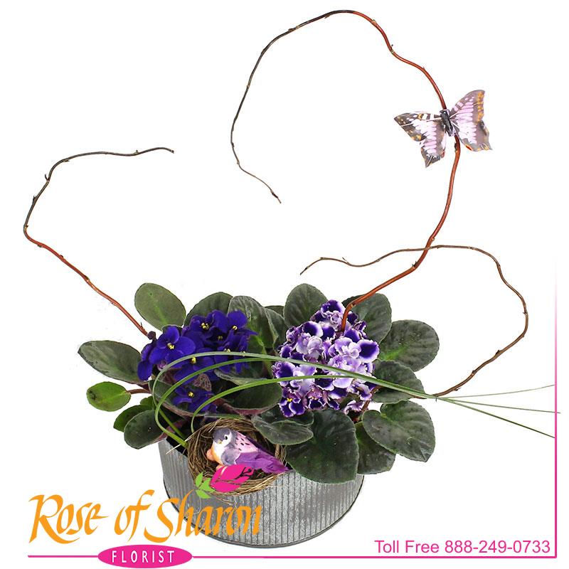 2565 Violet Garden in Norah Bowl Image One
