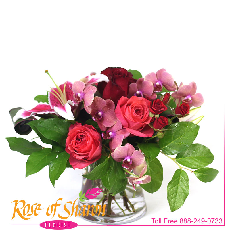 2685 Delaney Premium Bouquet product image