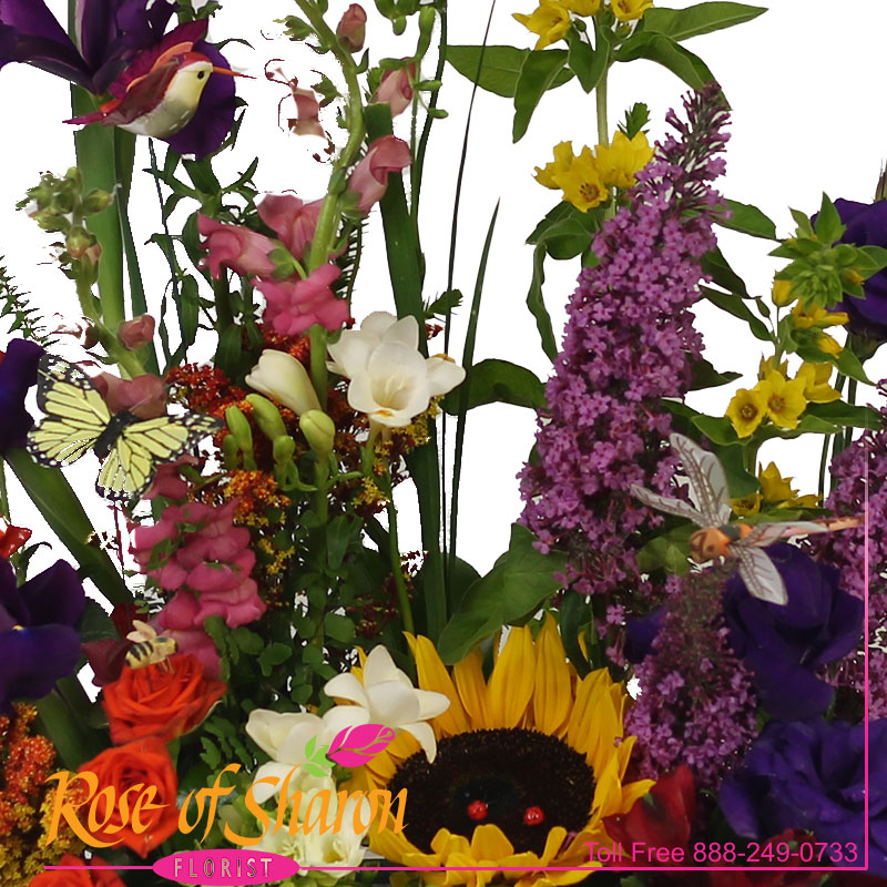 Best Santa Maria florist. Rose of Sharon Florist offers fresh flower delivery Santa Maria. Save money by sending flowers directly with a Local Florist. Call us at 888-249-0733 or local 805-925-3803 for local delivery of fresh flowers, plants and gifts to the entire Santa Maria Valley - Santa Maria Flower Shop with daily deliveries to the entire Santa Maria Valley. Santa Maria Flower Shop, flowers, plants & gifts to Santa Maria, Orcutt, Nipomo, Guadalupe, Casmalia, Arroyo Grande, Lompoc, Pismo Beach, Grover Beach, Avila Beach, and San Luis Obispo Image