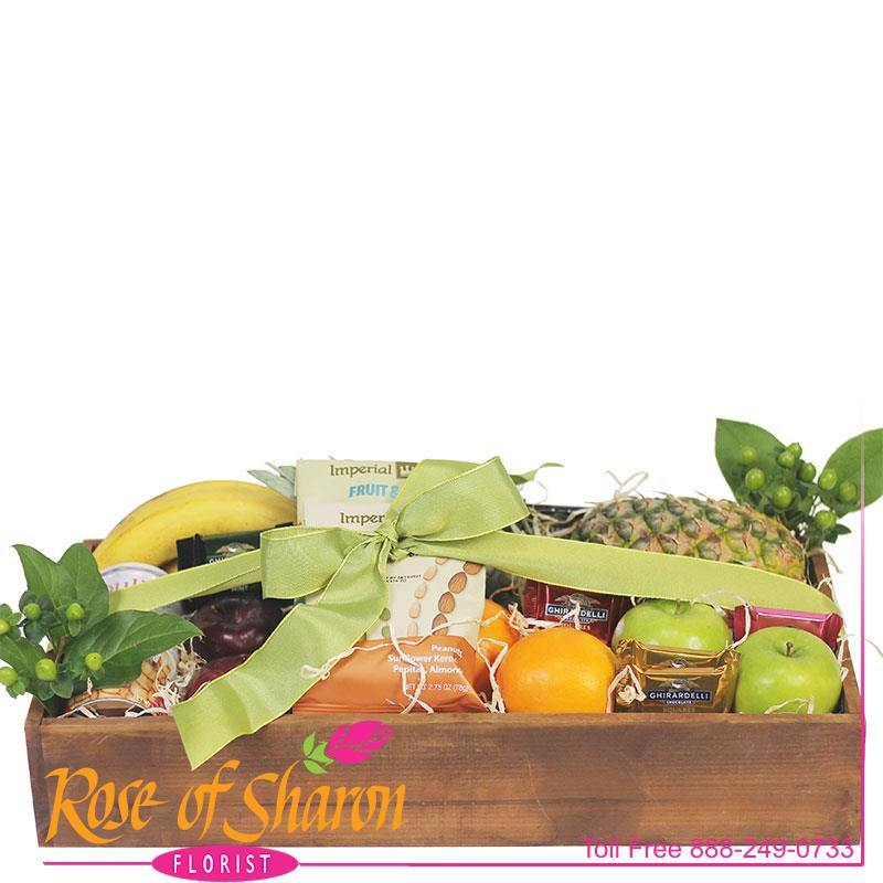 2764 Large Fruit & Food Tray product image