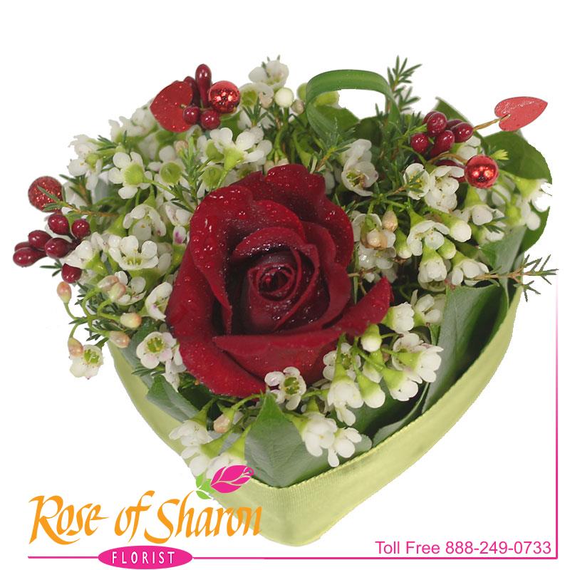 Best Santa Maria florist. Rose of Sharon Florist offers fresh flower delivery Santa Maria. Save money by sending flowers directly with a Local Florist. Call us at 888-249-0733 or local 805-925-3803 for local delivery of fresh flowers, plants and gifts to the entire Santa Maria Valley - Santa Maria Flower Shop with daily deliveries to the entire Santa Maria Valley. Santa Maria Flower Shop, flowers, plants & gifts to Santa Maria, Orcutt, Nipomo, Guadalupe, Casmalia, Arroyo Grande, Lompoc, Pismo Beach, Grover Beach, Avila Beach, and San Luis Obispo Image