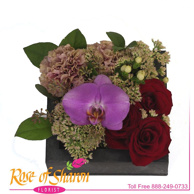 2912 Kaylee Garden product image